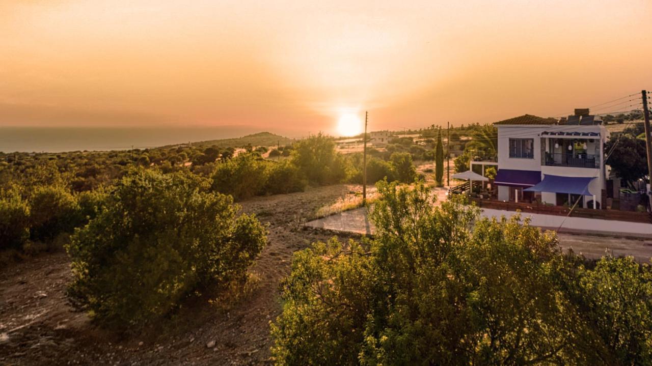 Villanelle Bed & Breakfast Welcomes Dog Lovers Only Tala Exterior foto